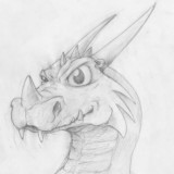 Adult dragon 1